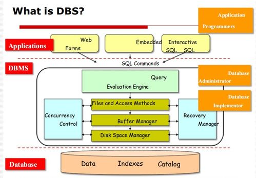 數(shù)據(jù)庫管理系統(tǒng)（DBMS）入門 基礎(chǔ)概念、目標(biāo)與應(yīng)用